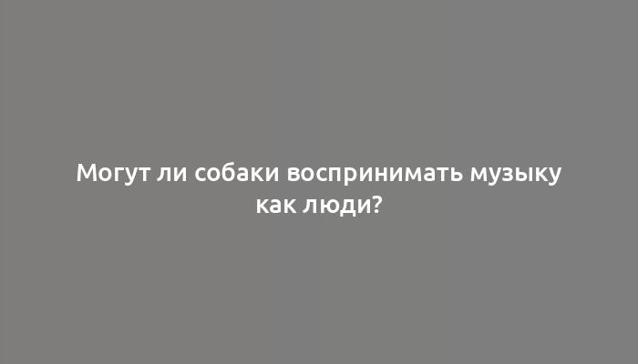 Могут ли собаки воспринимать музыку как люди?