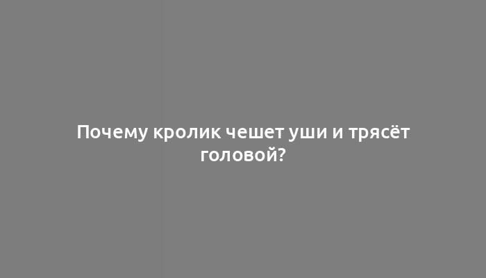 Почему кролик чешет уши и трясёт головой?