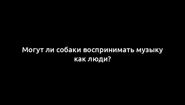 Могут ли собаки воспринимать музыку как люди?