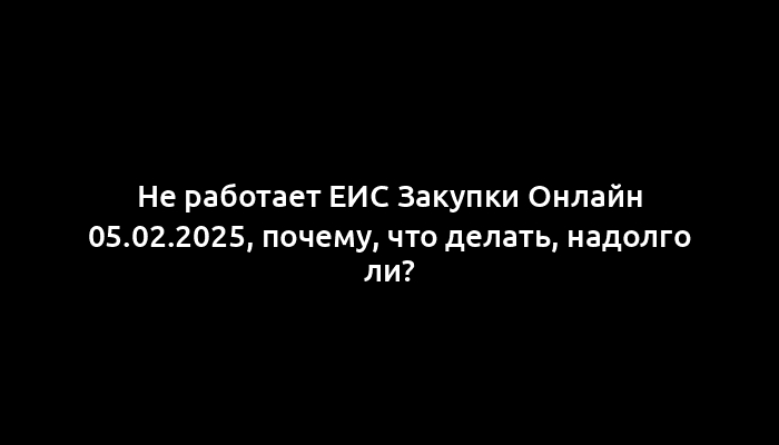 Не работает ЕИС Закупки Онлайн 05.02.2025, почему, что делать, надолго ли?