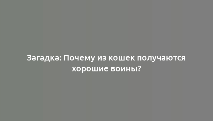 Загадка: Почему из кошек получаются хорошие воины?