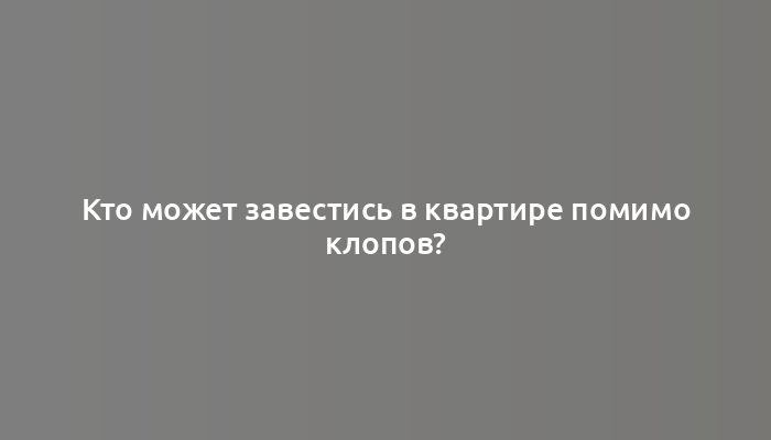 Кто может завестись в квартире помимо клопов?