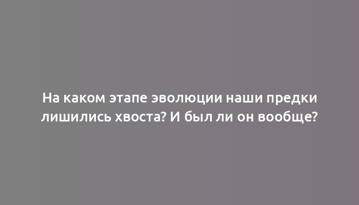 На каком этапе эволюции наши предки лишились хвоста? И был ли он вообще?