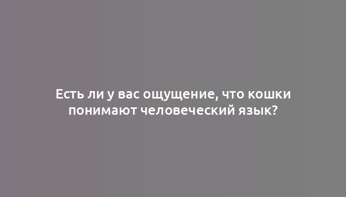 Есть ли у вас ощущение, что кошки понимают человеческий язык?