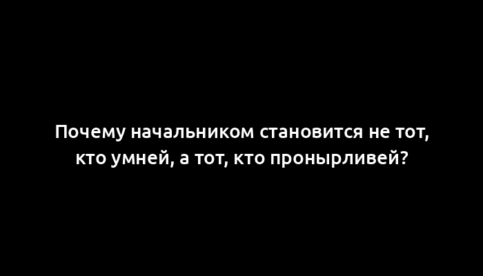 Почему начальником становится не тот, кто умней, а тот, кто пронырливей?